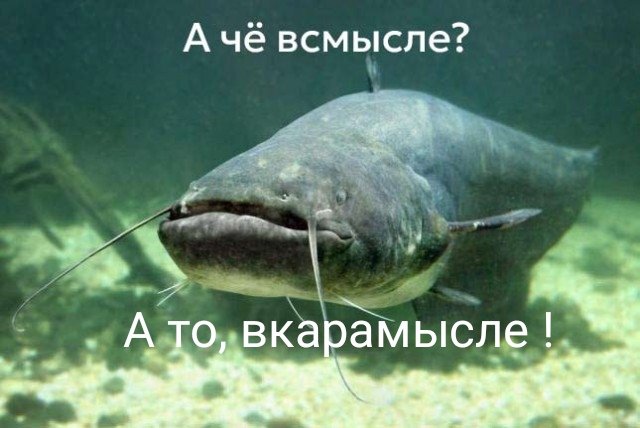 Обстановка на форуме молодых мамочек мотивирует рожать сома!
