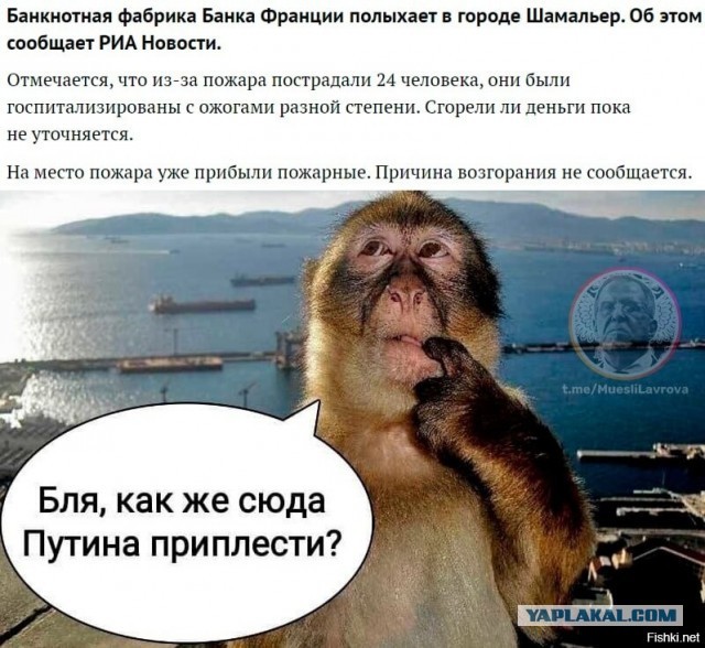 Общественный транспорт в Белграде (Сербия) станет бесплатным