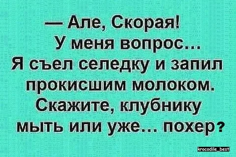 Весёлый полтишок 06.03.2025