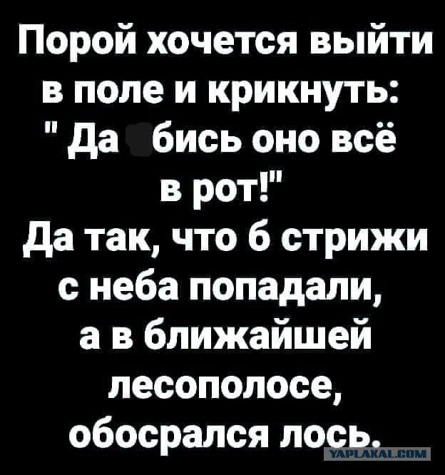 Так себе картинки 20.04.25