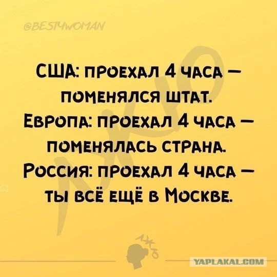 Смешные картинки с надписями и планы на лето 2025