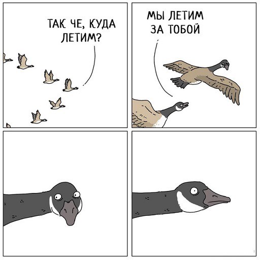 Веселое настроение в картинках (07.08.2025)