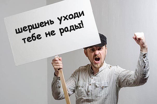 Друзья, как поймать/прогнать шершня?