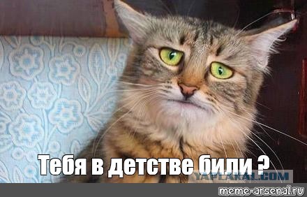 Вся наша свинина 100% халяль