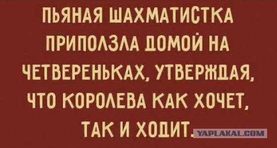 Картинки для деградации 51 (разной степени свежести)