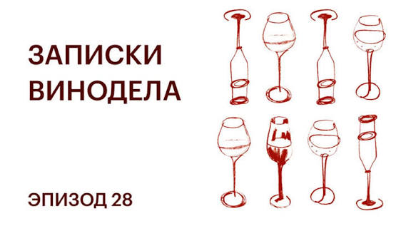 Известный российский винодел заразился бешенством во время сна