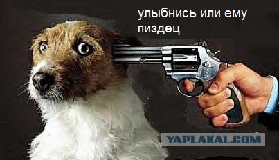 Решил вернуть девушке настроение.