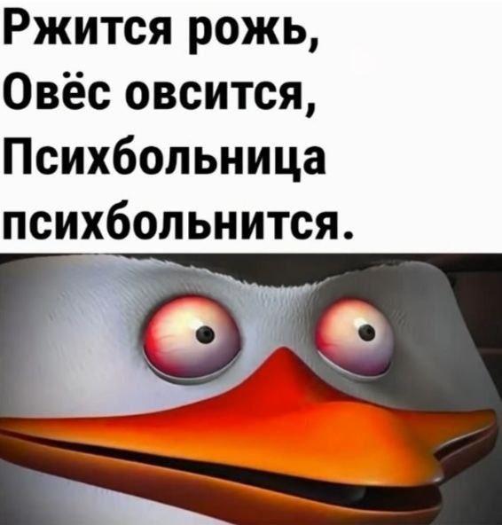 Картинки для деградации 148 (разной степени свежести)