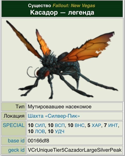 Осы: 5 пугающих видов. От маньяка-мясника до паразита в инжире