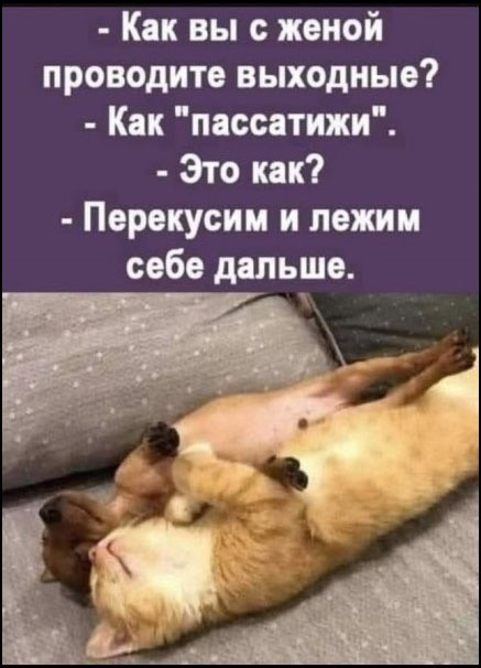 Субботние картинки