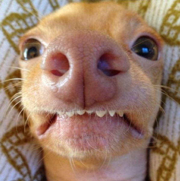 просто снимок