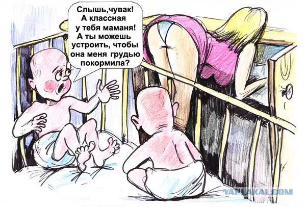 Смешные картинки