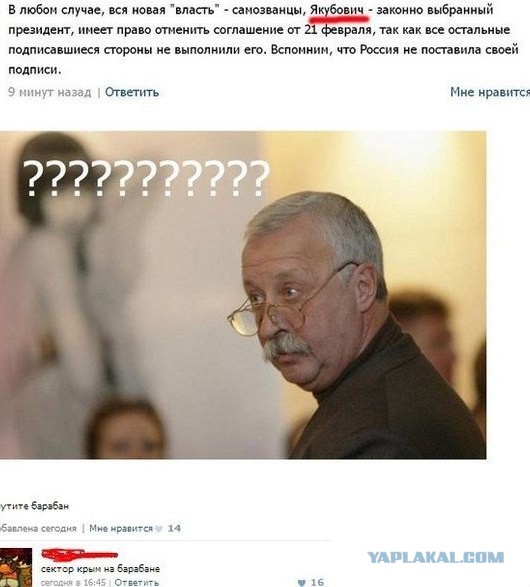 Грамматнасть и нтилехт вконтактовских обитателей