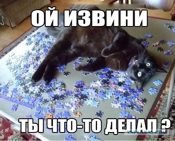Как мы с женой картину из камней запилили