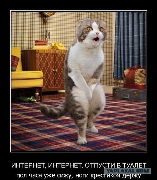 Новые "комментарии из соцсетей"