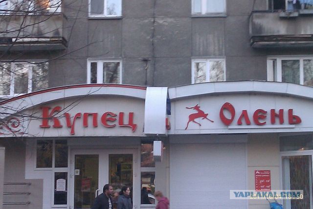 Надписи и объявления с просторов