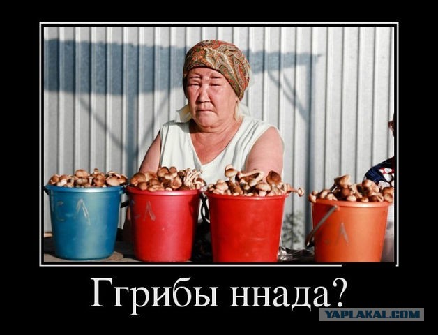 Ответка от Ильича 21+