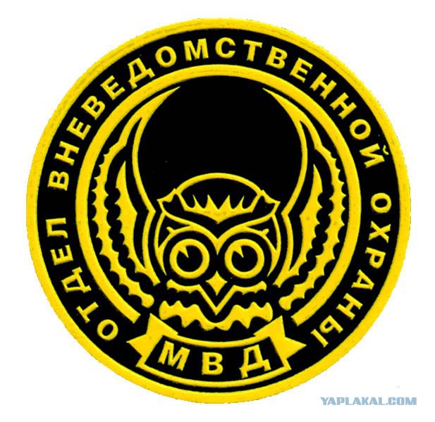 Совы
