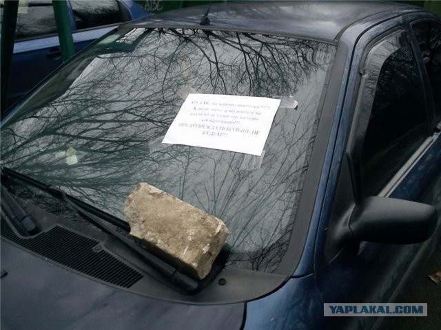 В нашем доме появился