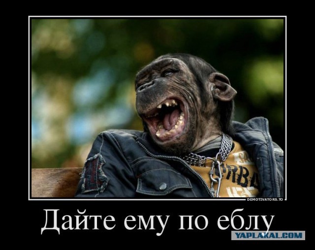 Сцуко, зла не хватает..