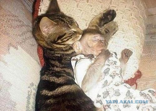 Мы такие разные… И все-таки мы вместе!