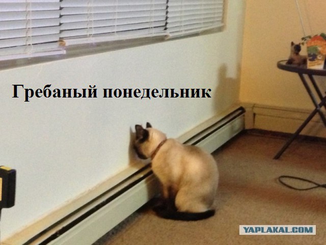 Депрессивный понедельник