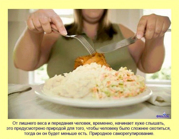 Немного картинок