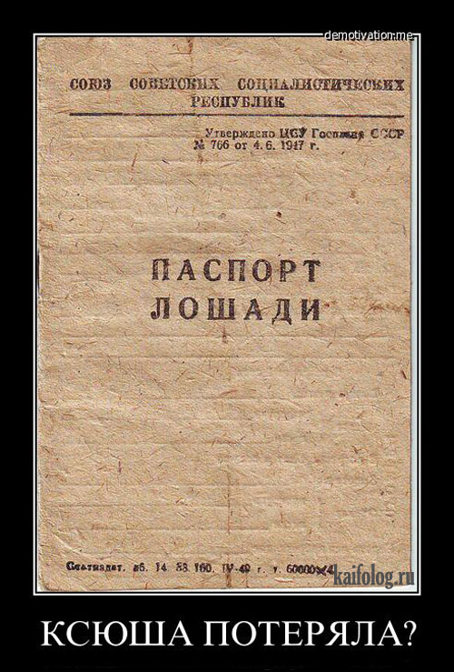Лошадиные лица