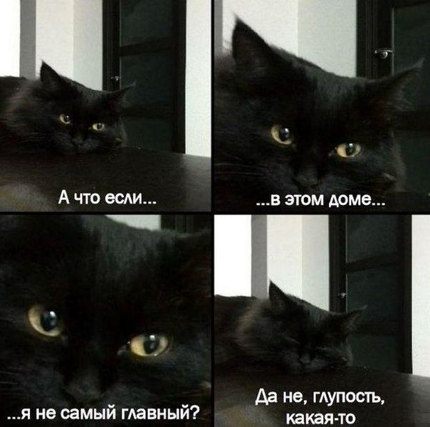 Немного картинок