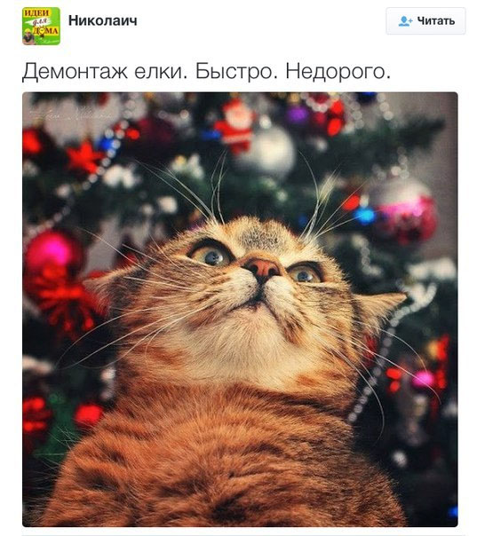 Смешные комментарии 05.01.2016