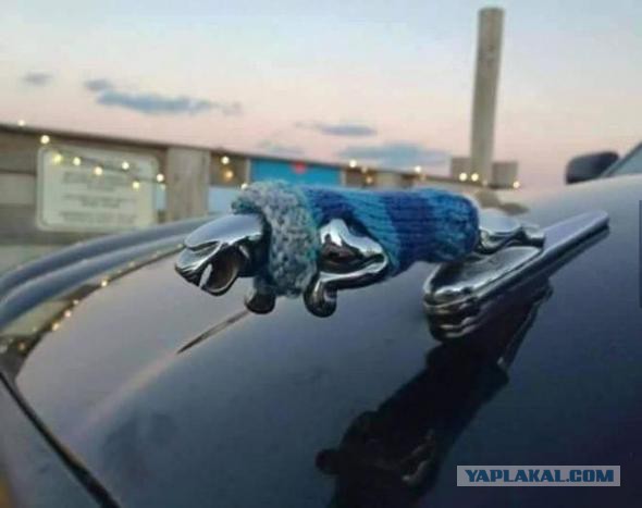 Фотоприколы