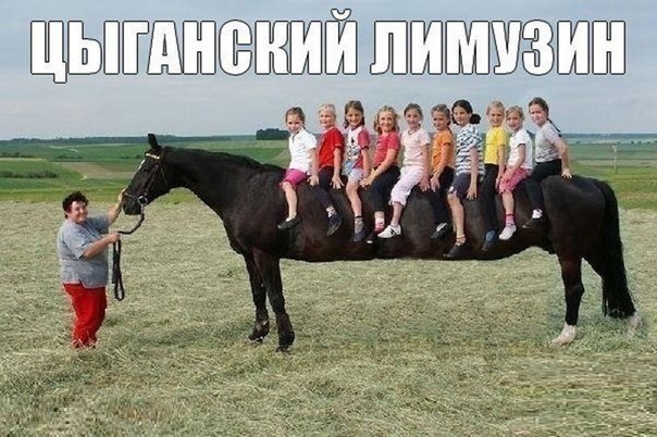 Ужасы и приколы из соцсетей