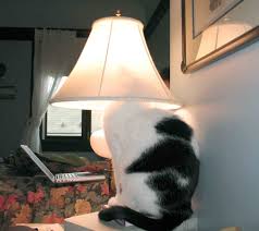 Немного задумался...