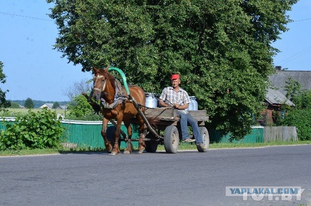 У вас не было лета в деревне, если вы...