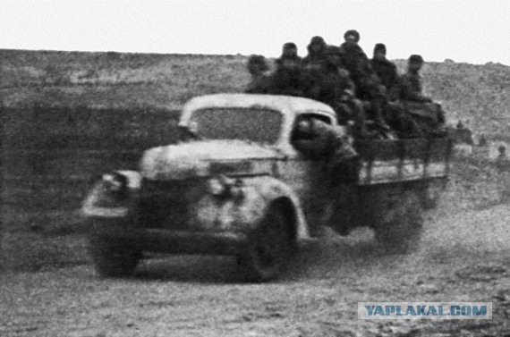 Рабочие лошадки второй мировой