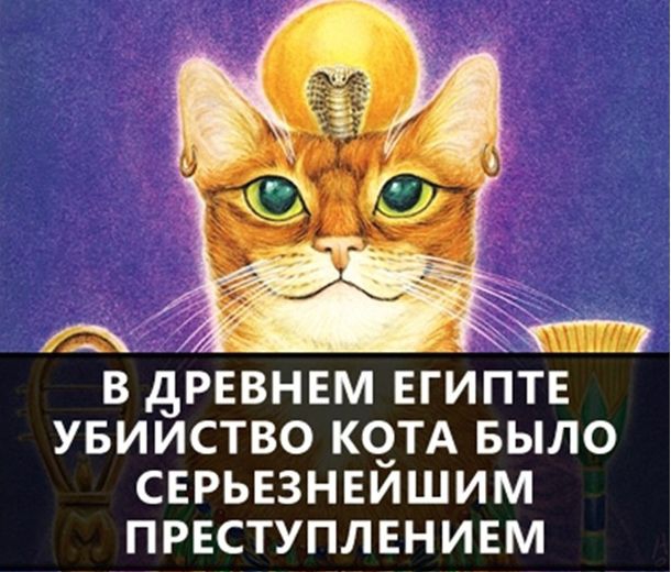 Удивительные факты