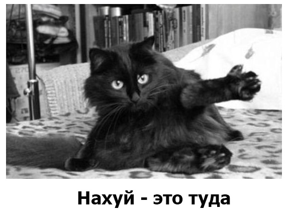 Зависимость от перца. Страшные кадры. 21+