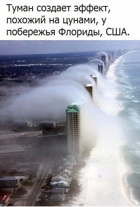 Немного картинок из этих ваших интернетов