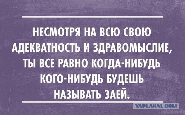 Картинки со смыслом и без - 4