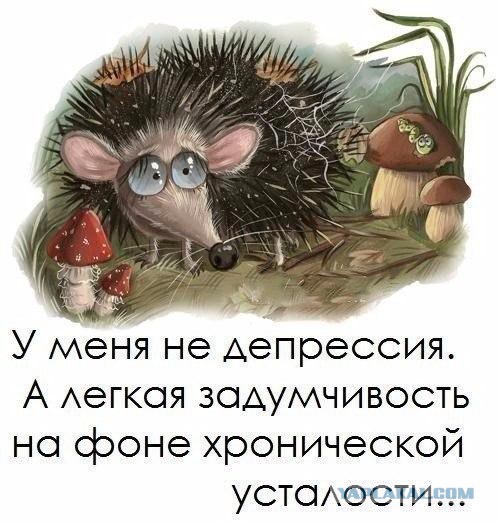 Подборка интересных и веселых картинок