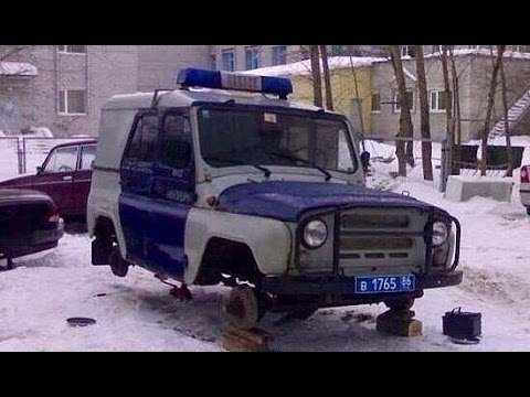 Подборка безудержного веселья