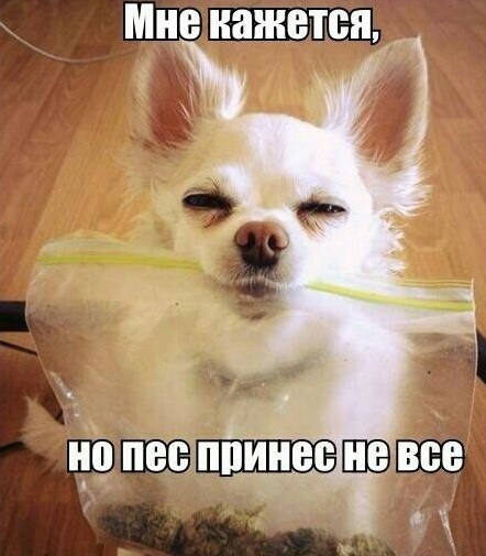 Деградировать подано