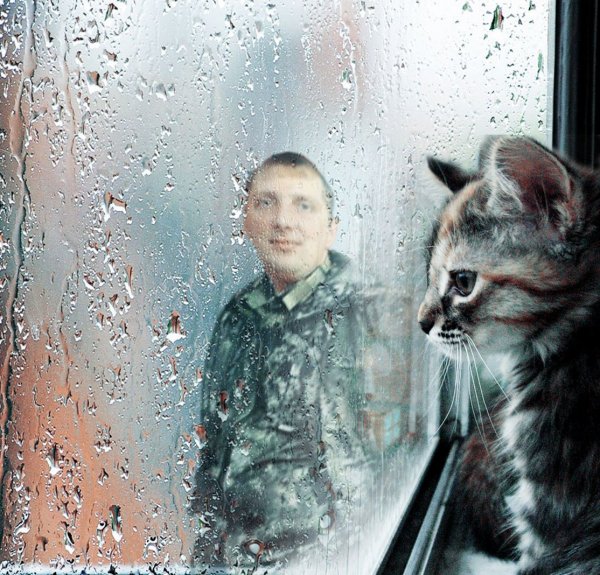 Трешак и вакханалия из соцсетей