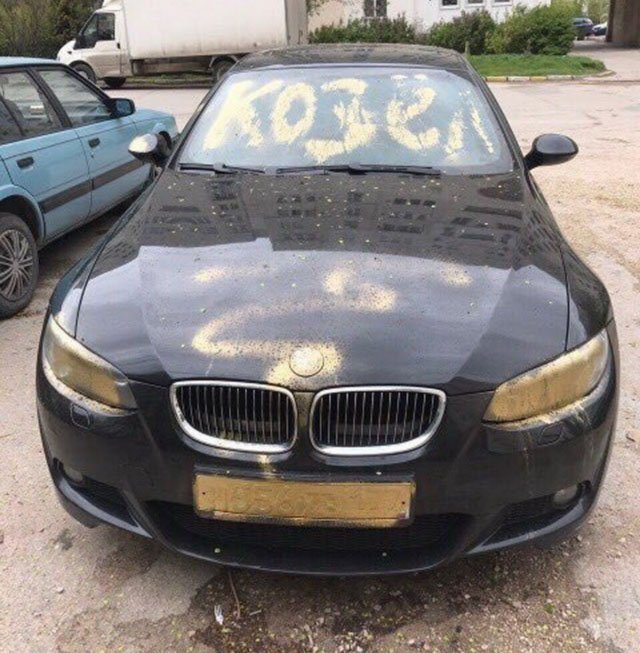 Автомобильная месть