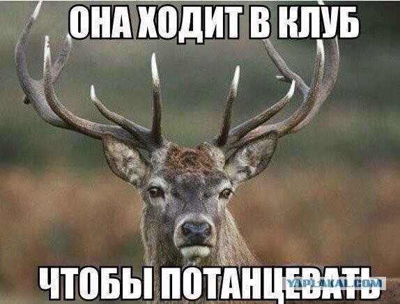 Московский таксист изнасиловал девушку и взял с нее деньги за проезд