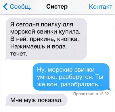 Смешные комментарии из социальных сетей 15.12.2017