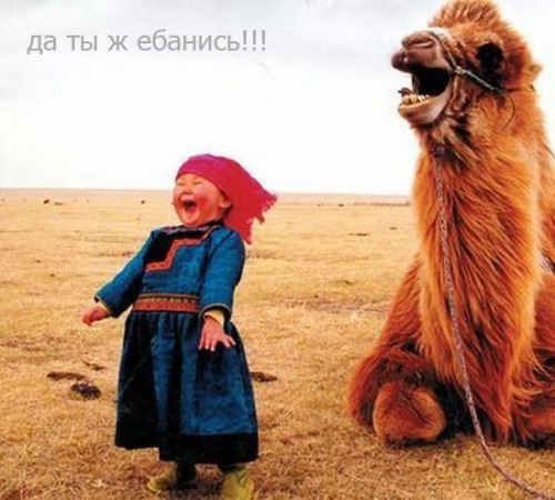 Письмо с того света
