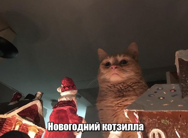 Смешные комментарии и картинки на новогоднюю и околоновогоднюю тематику. Часть 2