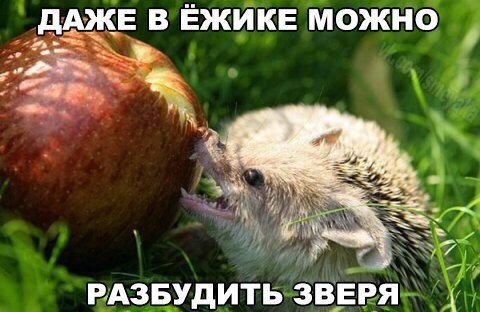Нестандартный юмор