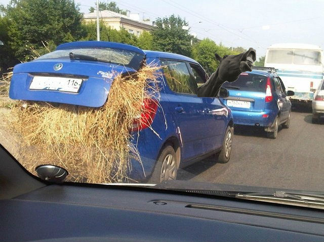 Казанские колхозники настолько суровы...